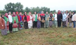 Düzce’de kadın üreticiler yerli mısır tohumlarını toprakla buluşturdu