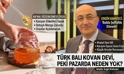 Avrupa’nın balda "şeffaflık" devrimi: Peki, kovan devi Türkiye neden oyunda yok?