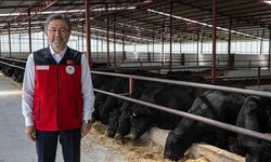 ESK’dan küçük üreticiye yeni model: İthal besilikte "Geri Alım Garantili" dönem başlıyor!