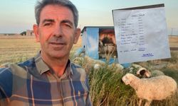 Ziraat Odası Başkanı hesapladı: 1 Kg buğdayın maliyeti 19 TL'yi buldu