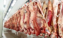 Et piyasasında kurban sonrası ithalat baskısı! UKON açıkladı, sahada kesimler hızlandı
