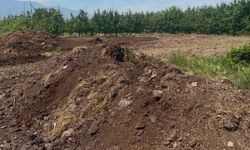 Hayvansal gübre fiyatları arttı mı? Kimyasal gübredeki zamlar sonrası gözler doğal alternatife çevrildi
