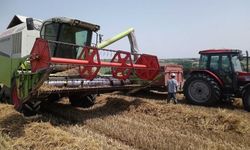 Hububatta büyük destek çarpıklığı: Tekirdağ Ziraat Odaları’ndan TMO buğday fiyatlarına sert tepki!
