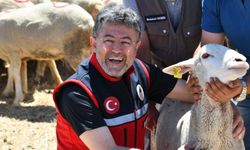 Kırsalda Bereket Projesi'nde dikkat çeken tören! 6 günde hayvan teslimi nasıl yapıldı?