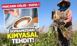 Pancarın çığlığı: Şekerin 'gizli' istilası ve sofralarımızdaki kimyasal tehdit