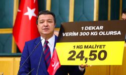 Mahmut Arıkan: Çiftçi buğdayda kilo başına 7 lira zarar ediyor
