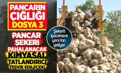 Pancarın Çığlığı: Şekerli içeceklere yeni fon geliyor! Pancar şekeri pahalanacak, tatlandırıcı teşvik edilecek!