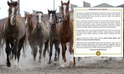 TİGEM’de ihale krizi: Arap atlarının geleceği ve sektörel tepkiler büyüyor