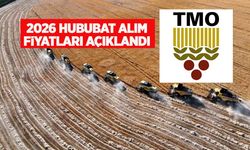 TMO 2026 yılı hububat alım fiyatlarını açıkladı! İşte buğday, arpa fiyatları ve Bakanlık destekleri