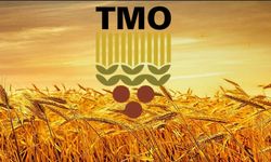 TMO hububat alım fiyatları için kritik hafta: Çiftçinin gözü Haziran ilk haftasında