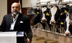 Kan örneği alınmadan mı arilik belgesi iptal edildi? TÜSEDAD'dan çarpıcı açıklama