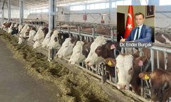Ari işletmelerde tazminat kalktı mı? Eski HAYGEM Daire Başkanı Ender Burçak yönetmelik değişikliklerini değerlendirdi