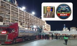 İthal hayvanda kritik soru: ESK piyasayı mı düzenliyor, bütçeye gelir mi üretiyor?