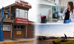 Eskişehirli çiftçinin ürünü laboratuvarda değer kazanıyor! Bir yılda 365 bin analiz yapıldı