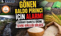 Gönen Baldo Pirinci için alarm! Coğrafi işaretli ürüne çevre kirliliği gölgesi