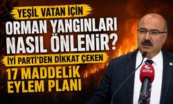 Orman yangınları nasıl önlenir? İYİ Parti'den dikkat çeken 17 maddelik eylem planı