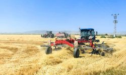 USK'nın hesabında saman sürprizi: Fiyat bir ayda yüzde 32 geriledi