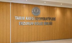 Tarım Kredi'nin Erzurum Bölge Birliği binası satıldı! İhaleyi kazanan firma çekildi, bina Buhara Hastanesi'ne kaldı