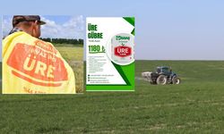 Tarım Kredi'nin yapamadığını Bucak Ziraat Odası yaptı! Üre gübresinde 315 TL fark