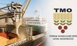 TMO'dan önemli karar! Ekmeklik buğday ihracatı yeniden serbest bırakıldı