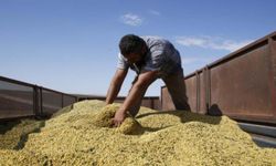 Tarım fiyatlarının görünmeyen yüzü! ABD-Çin rekabeti soya ve mısır piyasasını nasıl değiştiriyor?