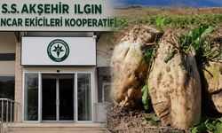 Pancar Kooperatifindeki “mutlak butlan” davasında savcılıktan dikkat çeken karar