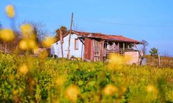 Tarım arazilerinde bağ evi şartı değişti! 5 hektar sınırı 2 hektara indirildi