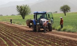 Dünya tarımında dengeler bozuldu! Bir ülkede ürün yok, diğerinde alıcı yok