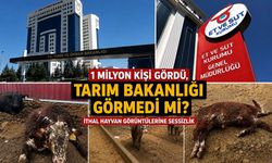 1 milyon kişi gördü, Tarım Bakanlığı görmedi mi? İthal hayvan görüntülerine sessizlik