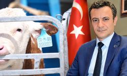 Hayvancılıkta elektronik küpe dönemi başladı ama asıl mesele şimdi başlıyor! 2030 için dikkat çeken öneri