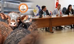 Paraguay'dan canlı hayvan ve sığır eti ithalatında kritik aşama: Türk heyeti Paraguay'da tesisleri denetliyor