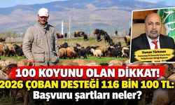 100 koyunu olan dikkat! 2026 çoban desteği 116 bin 100 TL: Başvuru şartları neler?