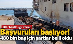 2027 besilik sığır ithalatı başvuruları başlıyor! 480 bin baş için şartlar belli oldu