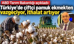 ABD Tarım Bakanlığı açıkladı: Türkiye’de çiftçi pamuk ekmekten vazgeçiyor, ithalat artıyor