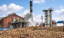 Adapazarı Şeker Fabrikası 50 milyon dolara el değiştirdi! Bor Şeker’in kotası ikiye katlandı