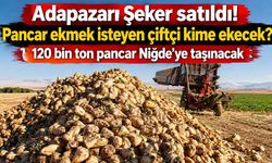 Adapazarı Şeker satıldı, pancar çiftçisinin geleceği belirsiz! 120 bin ton pancar Niğde’ye taşınacak