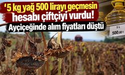 Ayçiçeğinde çiftçiye hasat darbesi! TMO ithalata çıktı, alım fiyatları düştü