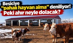 Besiciye “pahalı hayvan alma” deniliyor! Peki karkas fiyatı neden maliyetle birlikte yükselmiyor?