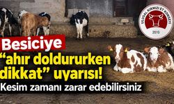 Besiciye “ahır doldururken dikkat” uyarısı! Kesim zamanı zarar edebilirsiniz