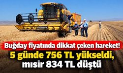 Buğday fiyatında dikkat çeken hareket! 5 günde 756 TL yükseldi, mısır 834 TL düştü