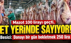 Mazot 100 lirayı geçti, et yerinde sayıyor! Besici: Danayı bir gün bekletmek 250 lira