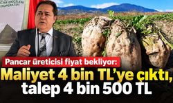 Şeker pancarında fiyat çağrısı: 4 bin TL'ye mal oluyor, en az 4 bin 500 TL isteniyor