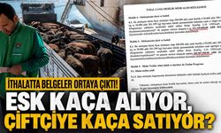Besilik sığır ithalatında belgeler ortaya çıktı! ESK kaça alıyor, çiftçiye kaça satıyor?