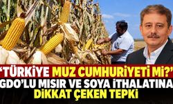 “Türkiye muz cumhuriyeti mi?” GDO’lu mısır ve soya ithalatına dikkat çeken tepki