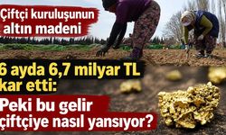 Çiftçi kuruluşunun altın madeni 6 ayda 6,7 milyar TL kar etti: Peki bu gelir çiftçiye nasıl yansıyor?