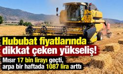 Hububat fiyatlarında dikkat çeken yükseliş! Mısır 17 bin lirayı geçti, arpa bir haftada 1087 lira arttı