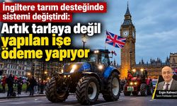 İngiltere tarım desteğinde sistemi değiştirdi: Artık tarlaya değil yapılan işe ödeme yapıyor