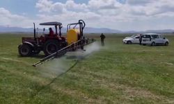Kayseri havza destekleri 2027: İlçelere göre desteklenen ürünler belli oldu