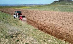 Nevşehir havza destekleri 2027: İlçelere göre desteklenen ürünler belli oldu