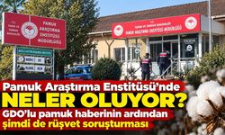 Pamuk Araştırma Enstitüsü'nde neler oluyor? GDO'lu pamuk haberinin ardından şimdi de rüşvet soruşturması